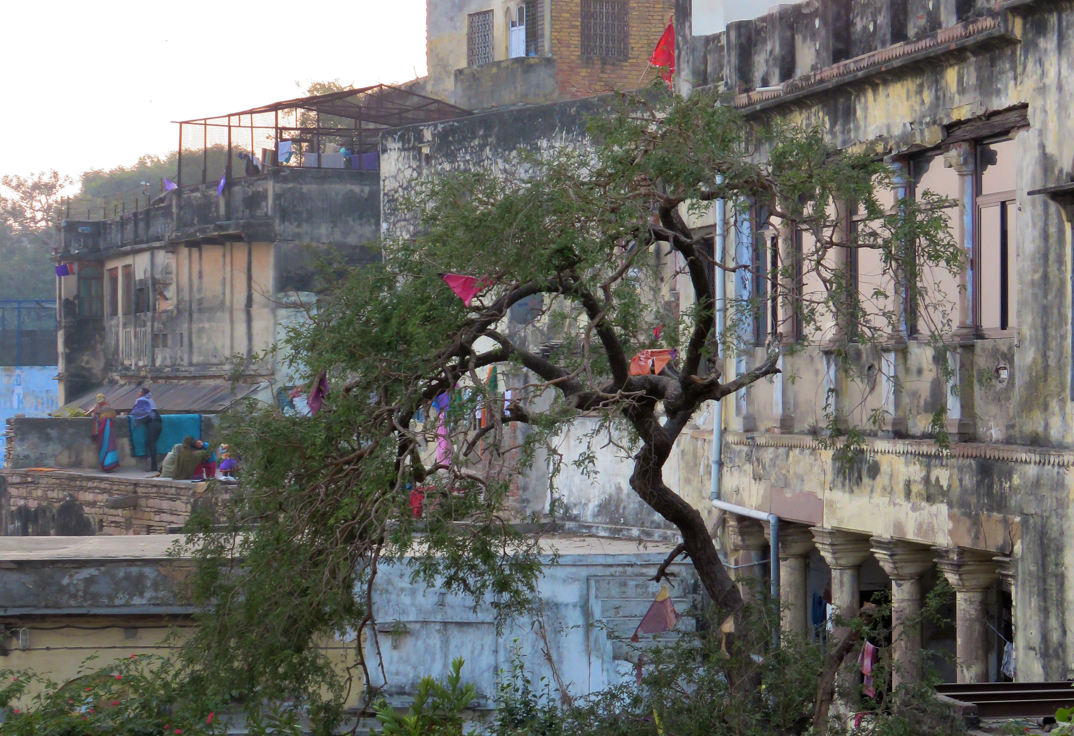 varanasi-kites-1.jpg