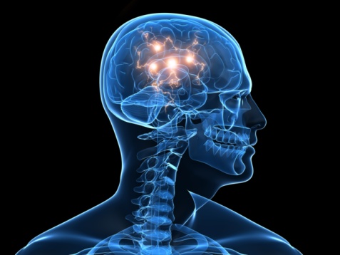 Brain-Epilepsy.jpg