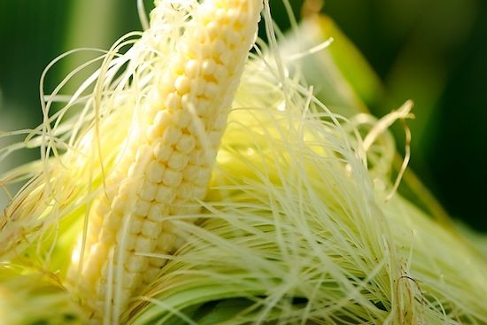 Image result for corn hair,nari