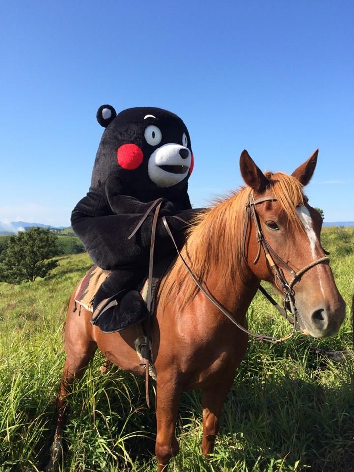 kumamon2.jpg