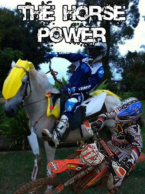 HORSEPOWER.jpg