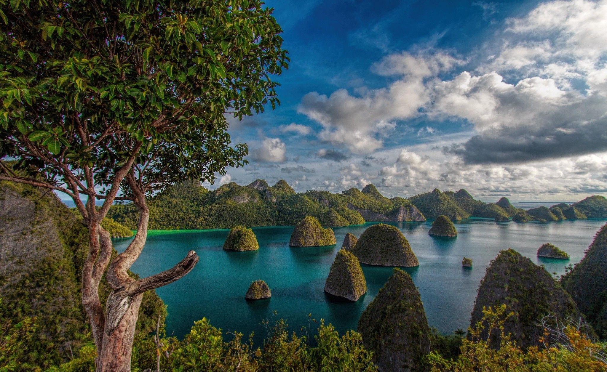 197476-mountain-clouds-forest-tropical-Raja_Ampat-Indonesia-island-sea-trees-beach-exotic-nature-green-turquoise-white-blue-landscape.jpg