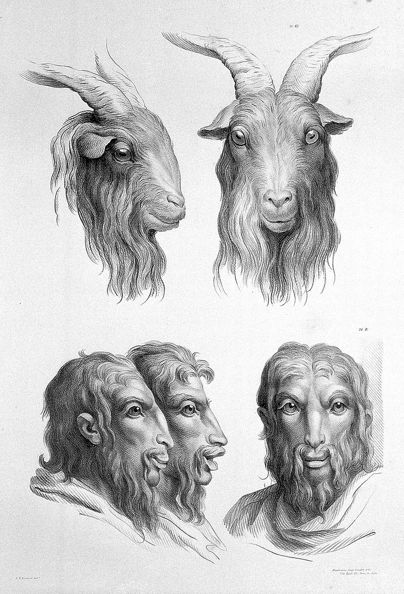 13-charles-le-brun-physiognomy-humans-evolved.jpg