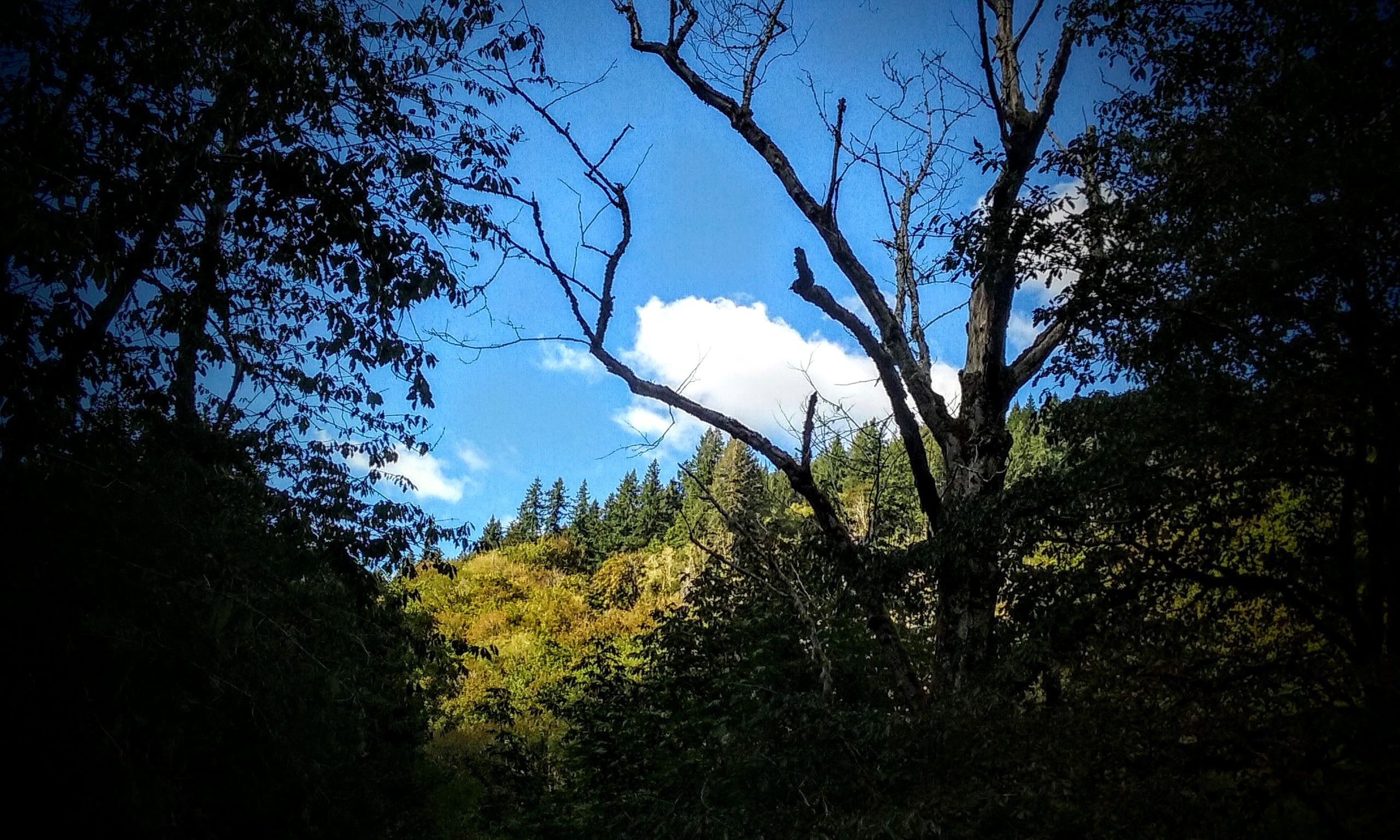 20160904_163553.jpg