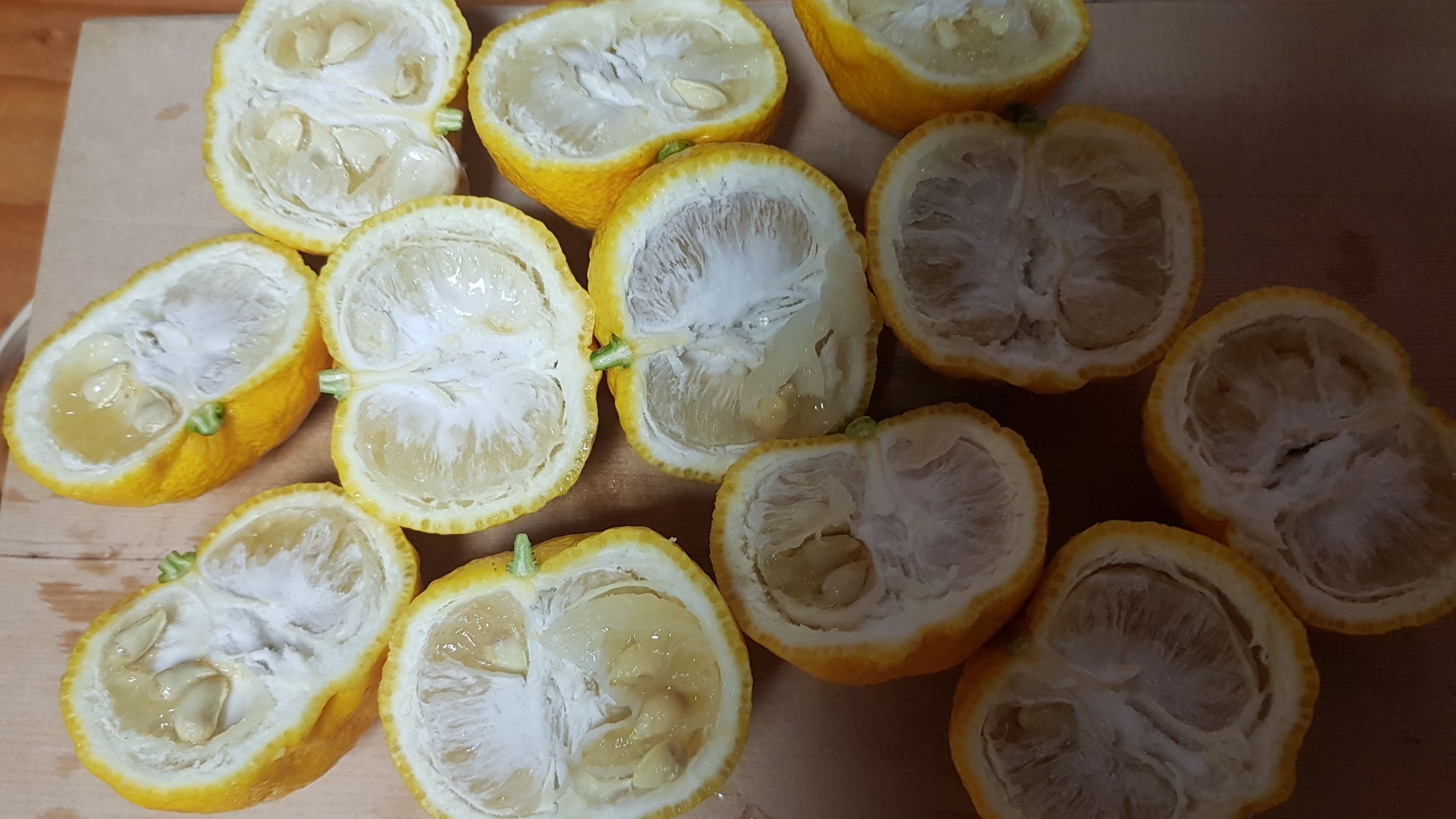 20171202_212136.jpg