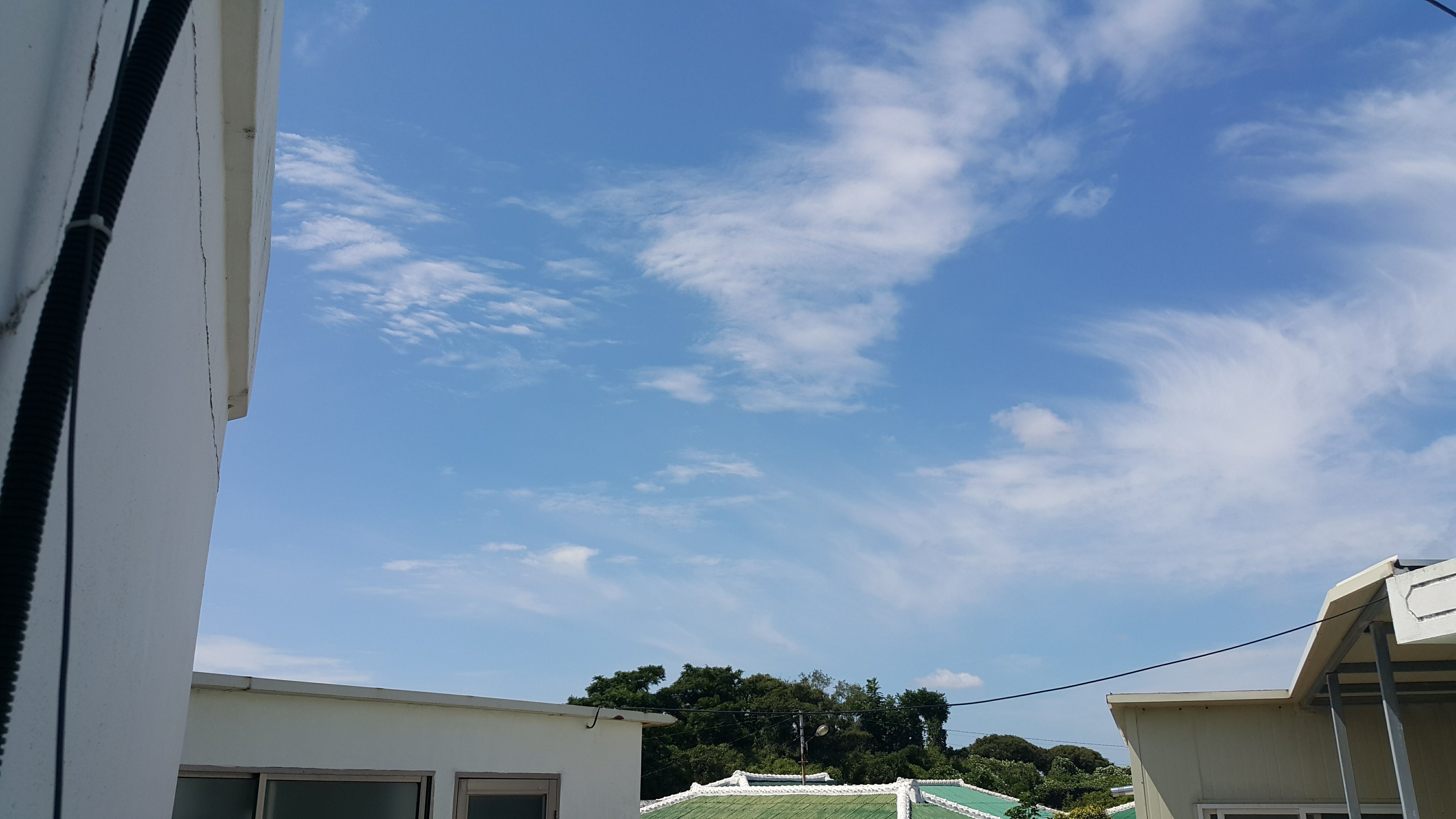 20170903_123217.jpg