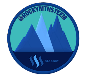 Image result for rocky mountain steem