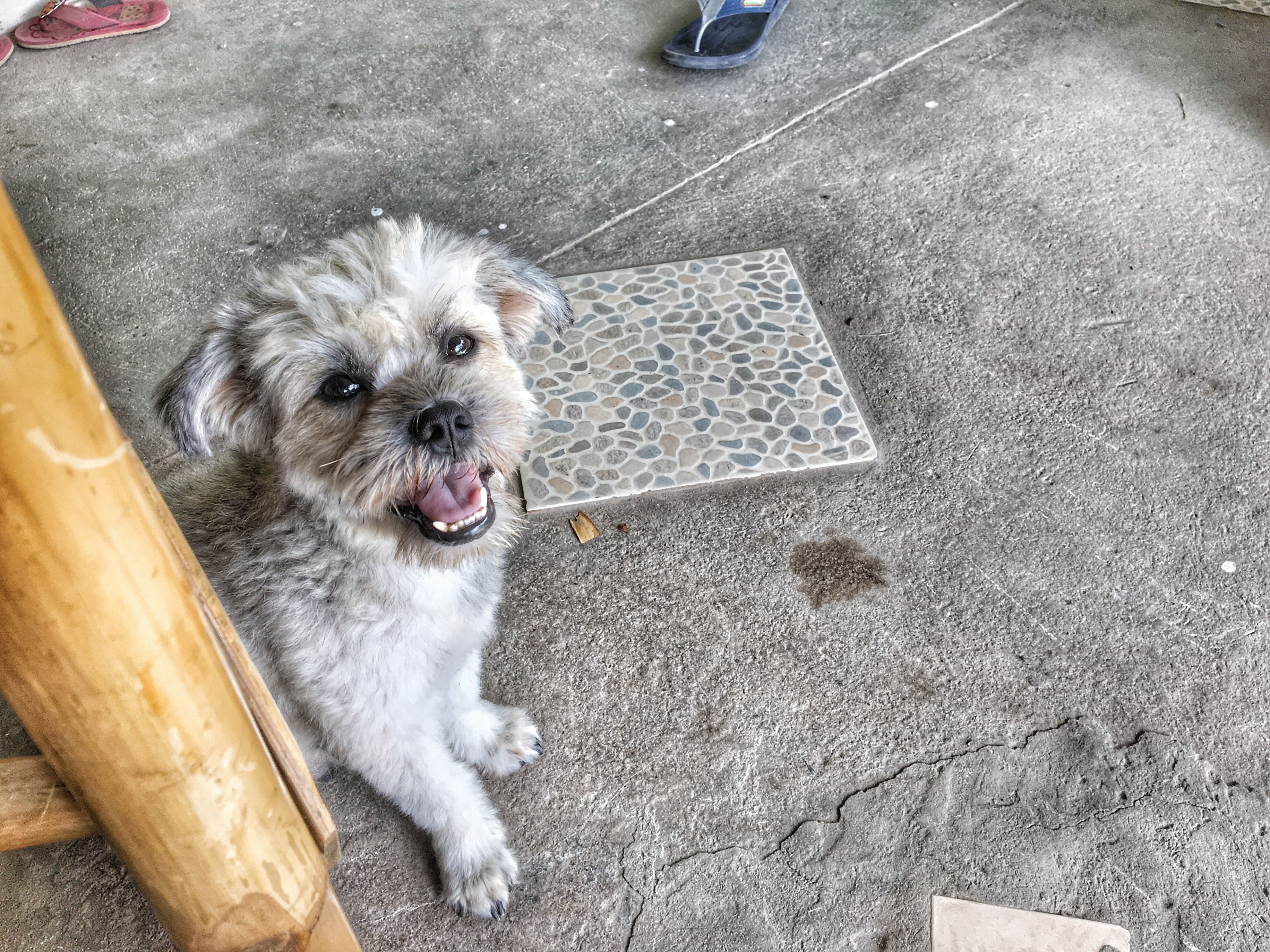 Attachment-1 (23).jpeg