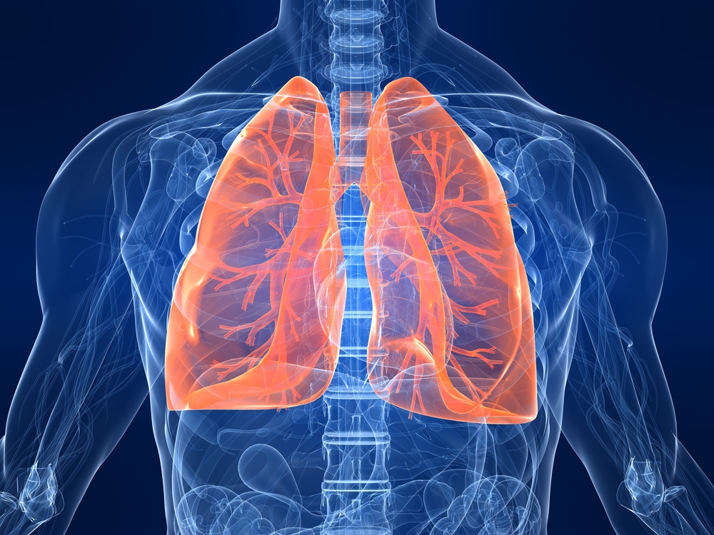 lungs-diagram-120926.jpg