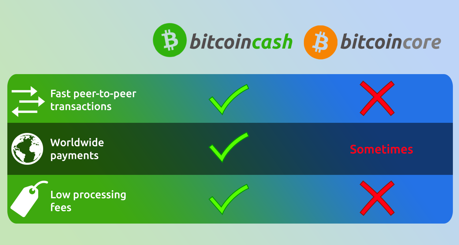 Bitcoin Cash vs Bitcoin: Which One Should You Choose