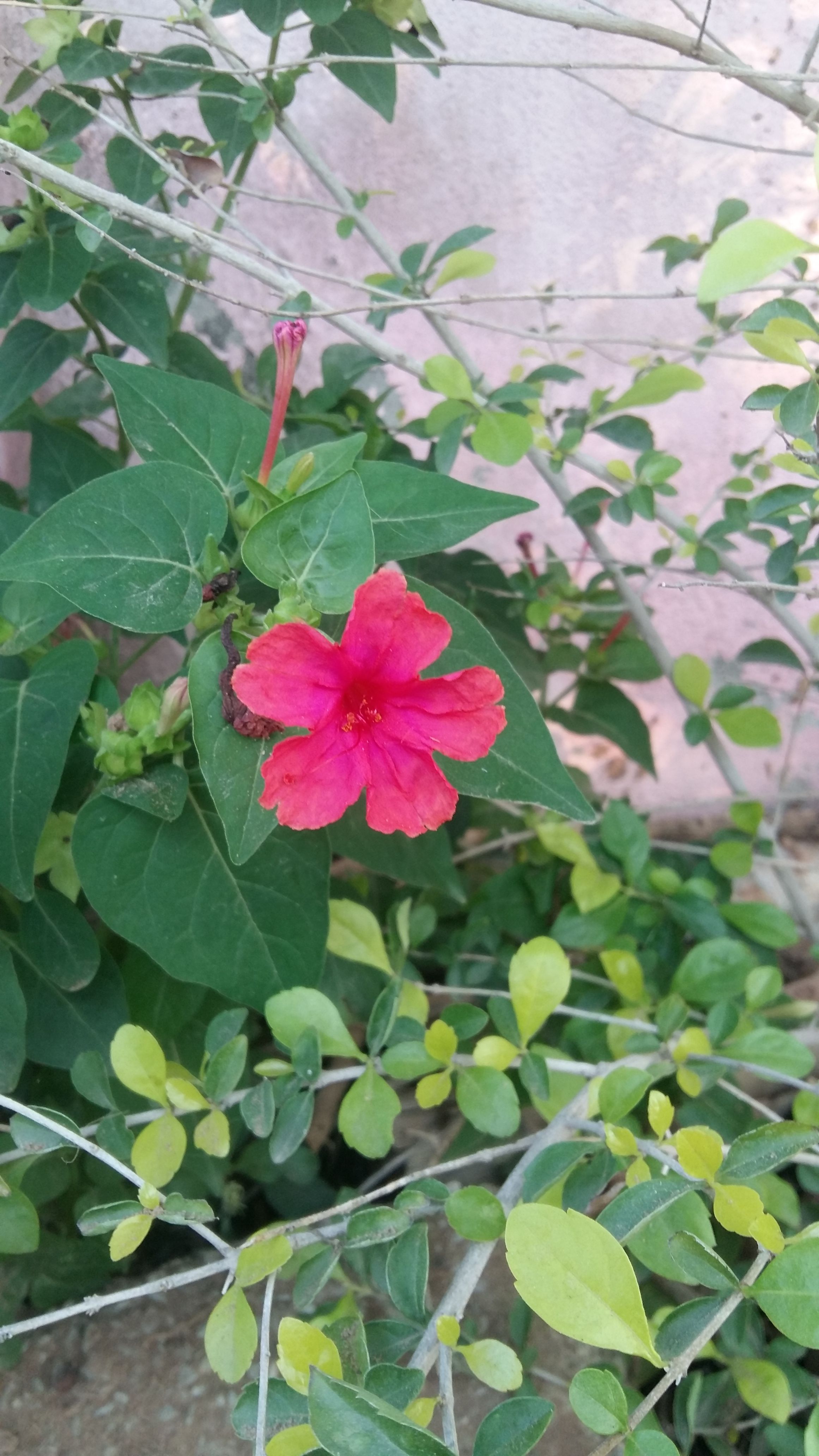20180411_065531.jpg