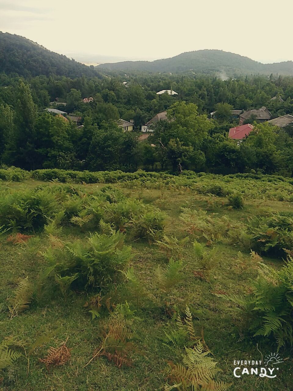 IMG-20180222-WA0022.jpg