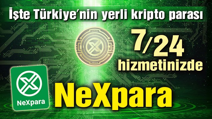 nexpara4.jpg