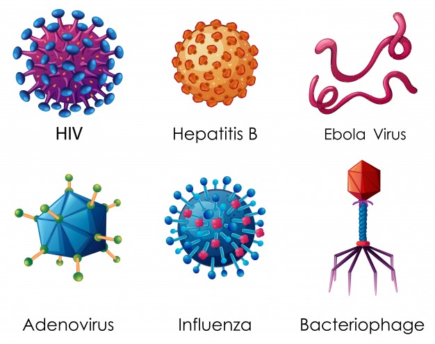 six-types-of-viruses-on-white-background_1308-3293.jpg