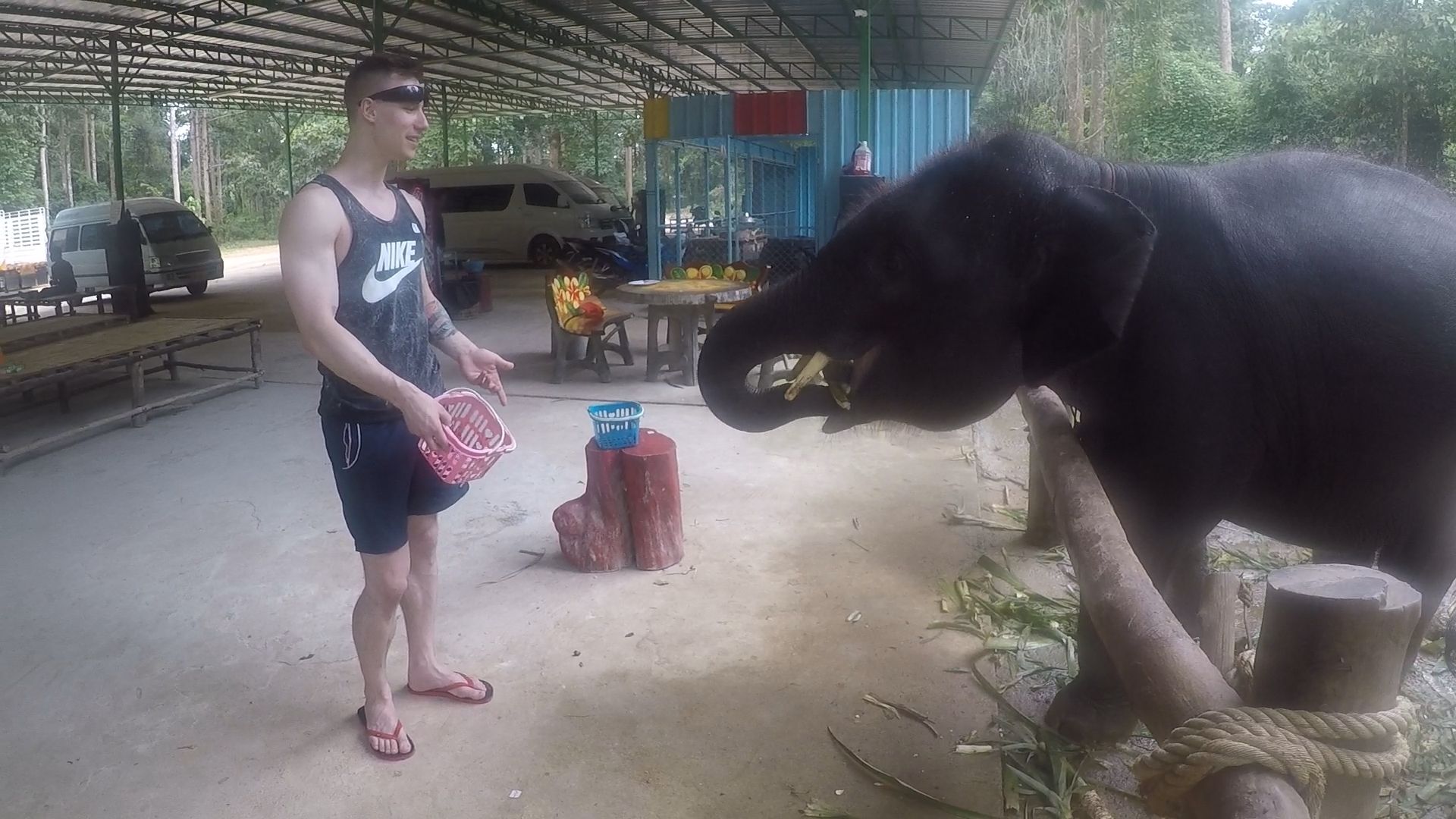 Krabi Baby Elephant 2.jpg