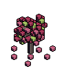 redmaple_sapling_latespring.iso.png