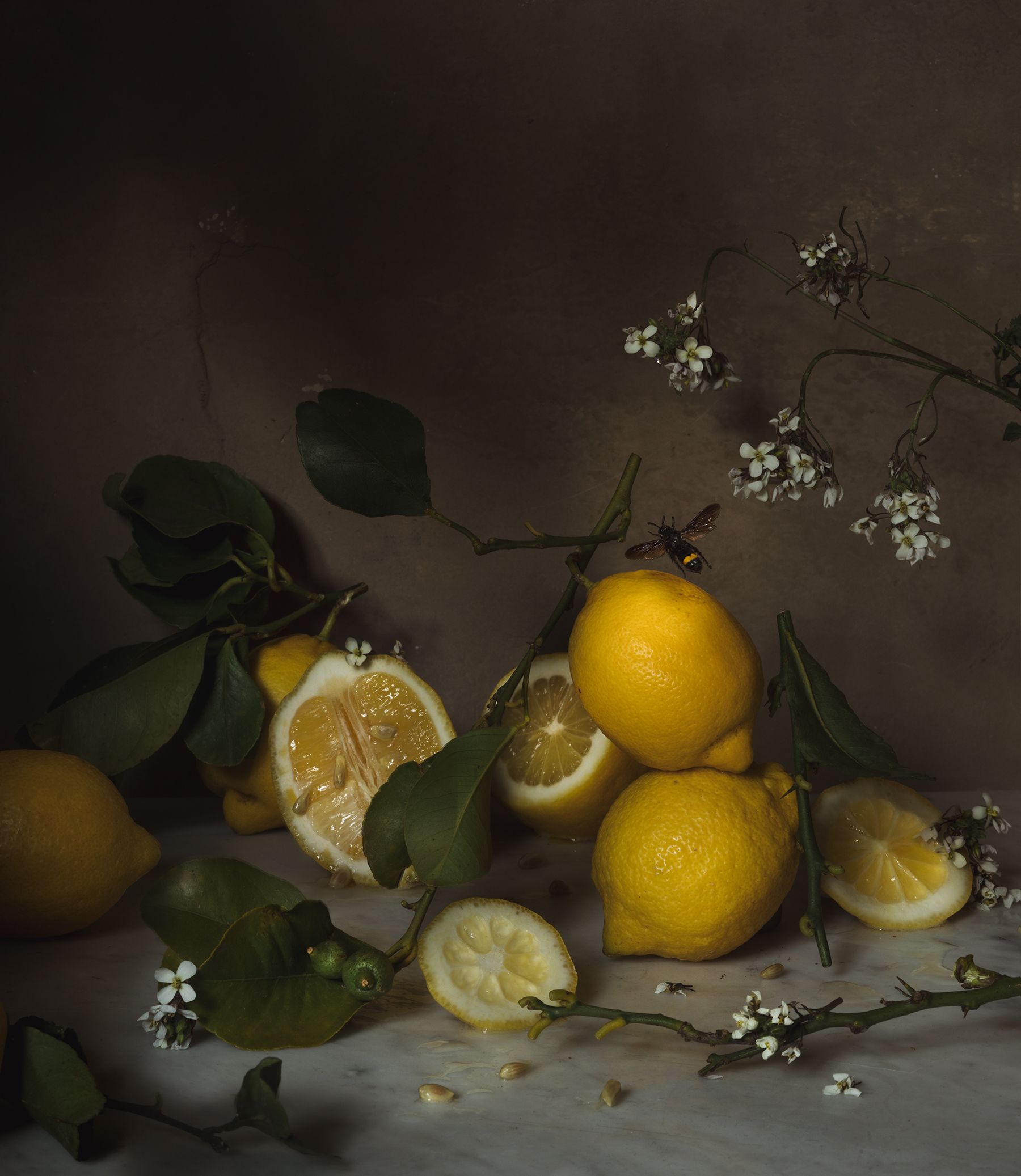 Winter_Lemons_Bee_JamieBeck.jpg