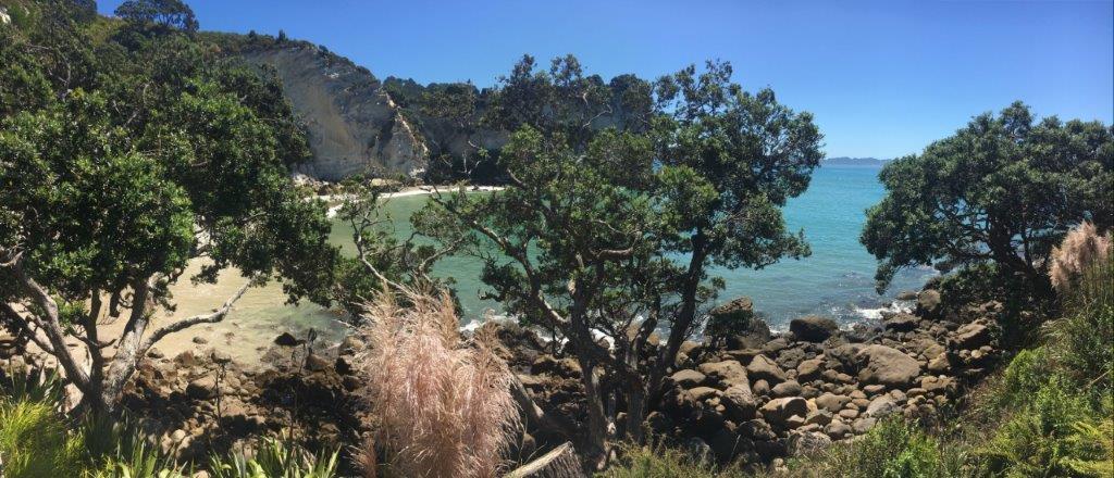 h cathedral cove hotwater beach (83).jpg