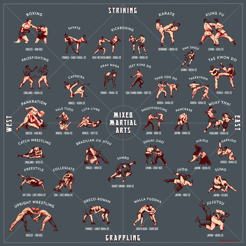 martial arts techniques illustration chart