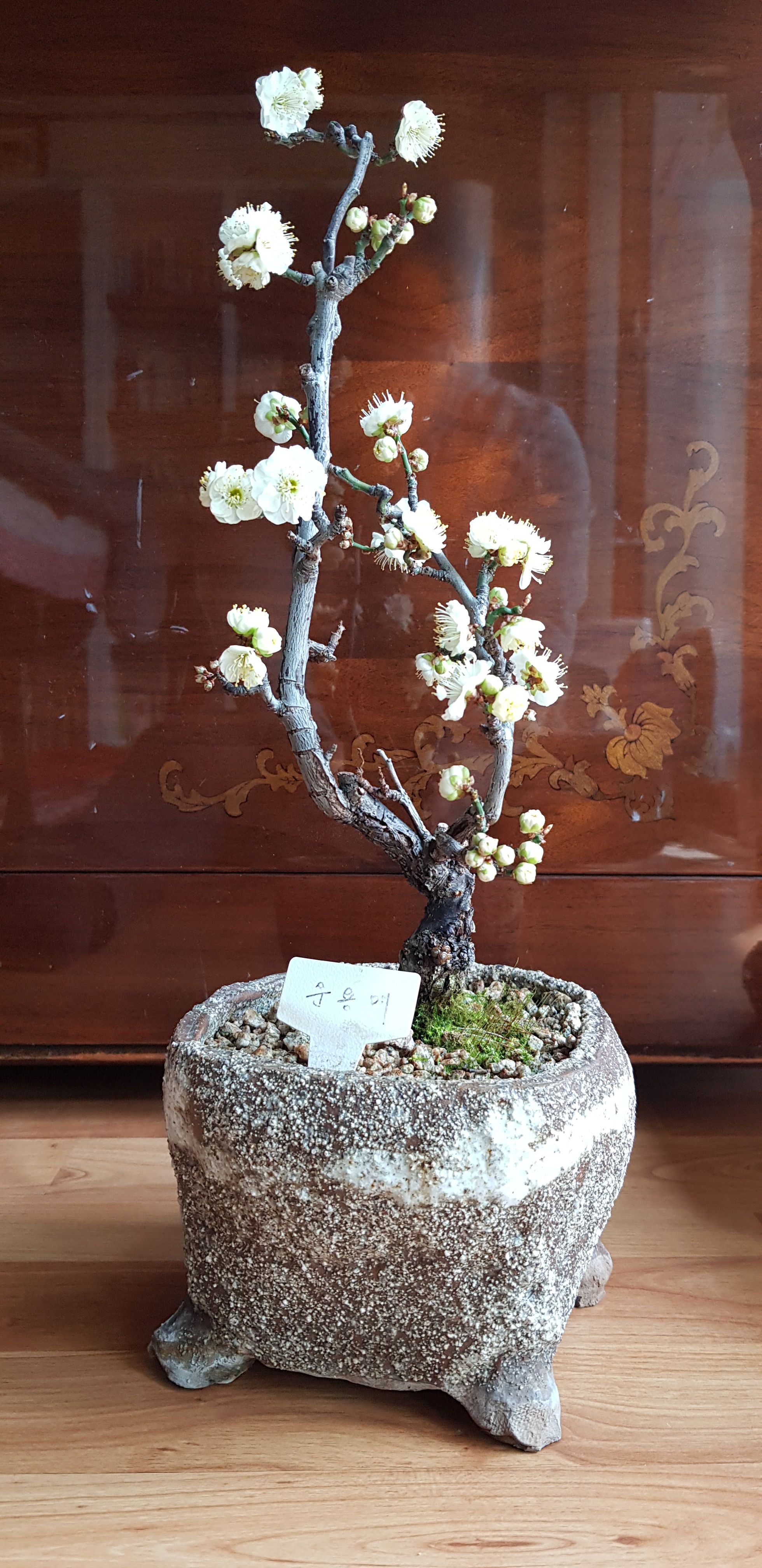 20180301_105243.jpg