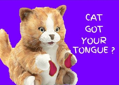 Cat.PNG
