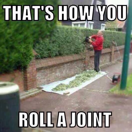 roll-a-joint.jpeg