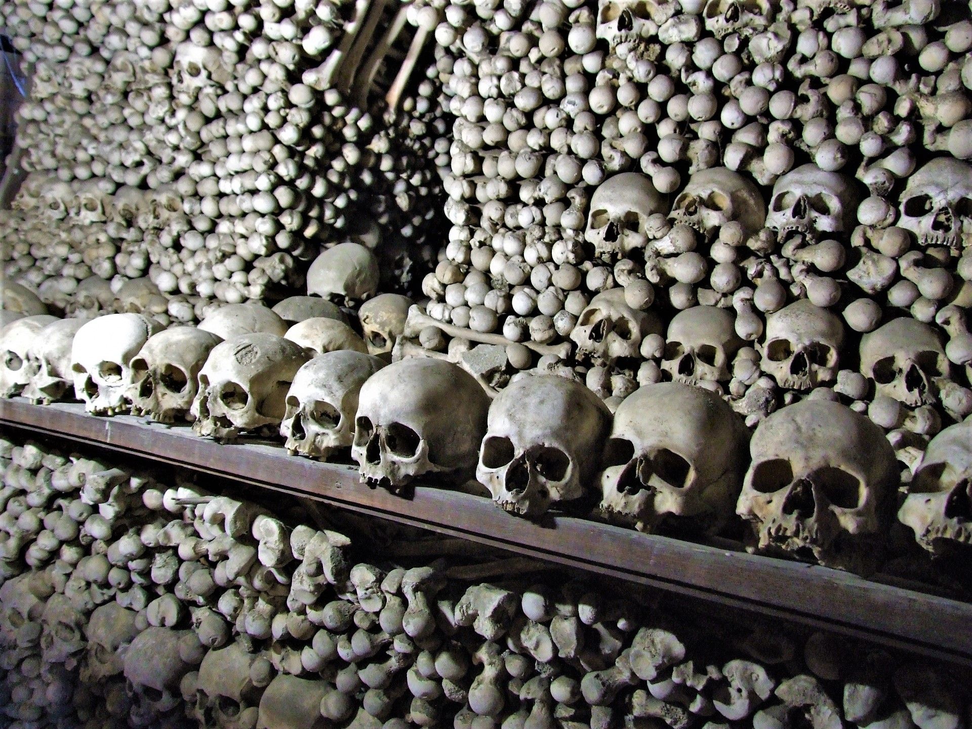 pile-of-human-skulls-and-bones.jpg