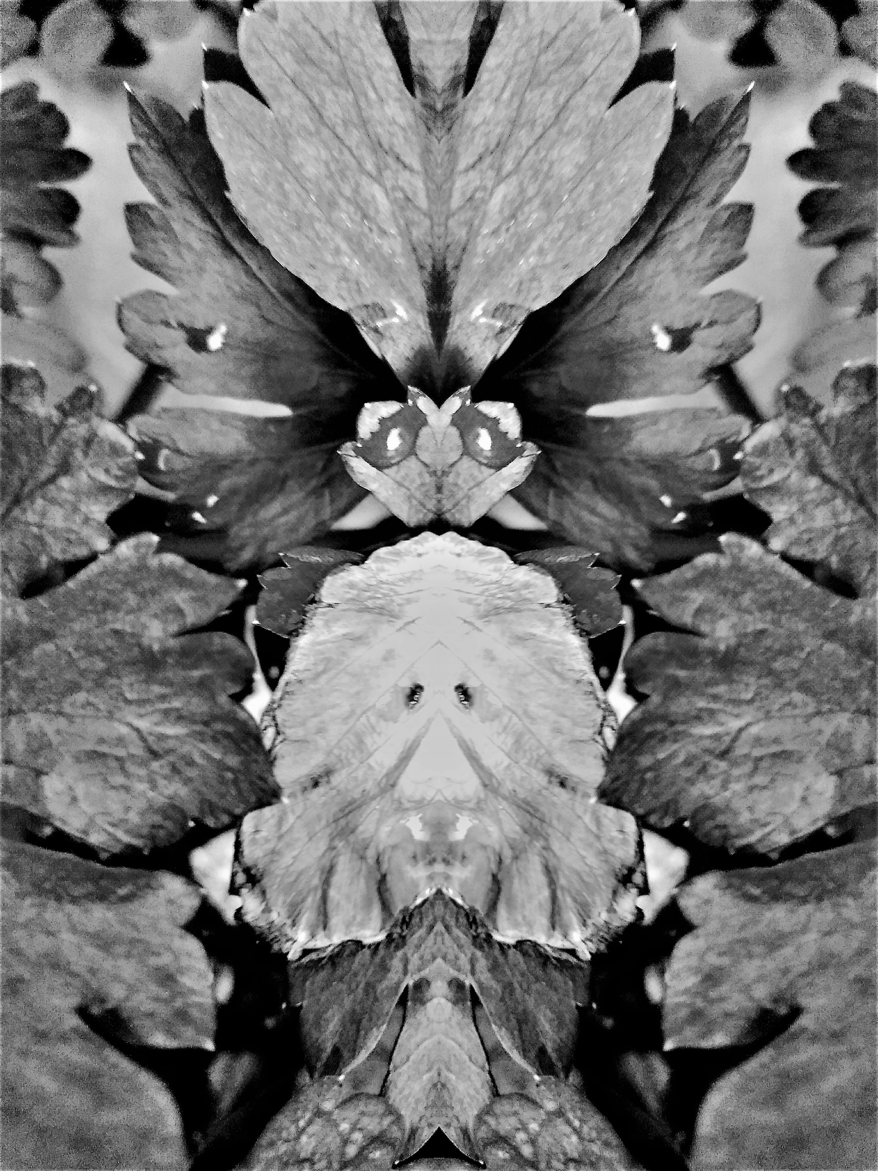 IMG_20171214_093831 (5).jpg