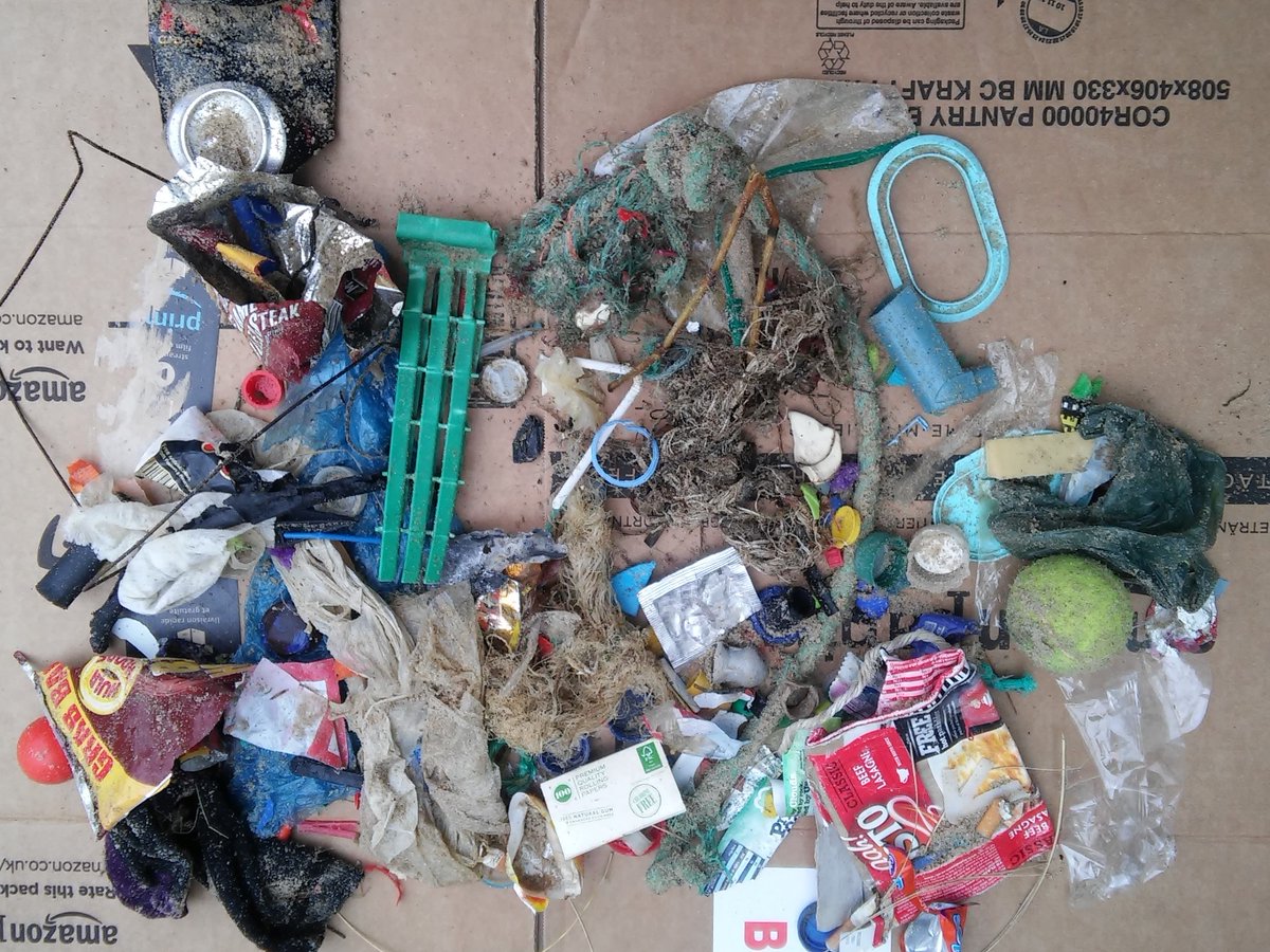 beach rubbish 2.jpg