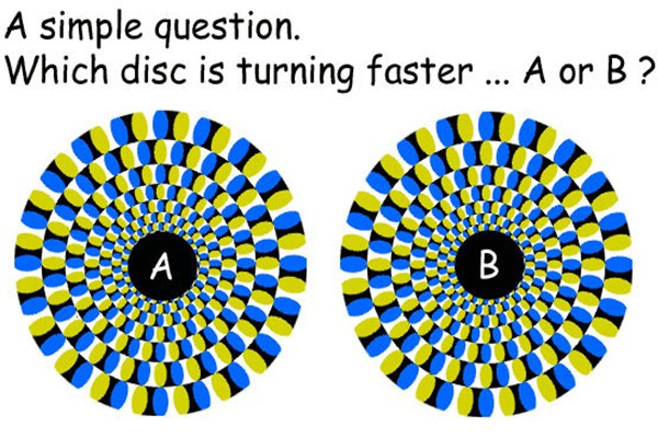 illusion (6).jpg