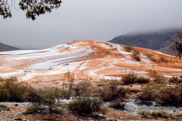 PAY-Rare-snow-in-the-Sahara-Desert.jpg