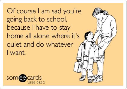 154e050b0bf51d0ba0bc68933ed150c9--i-am-sad-going-back-to-school.jpg