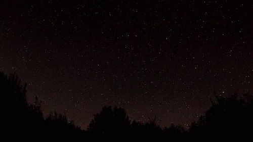 camping9.jpg