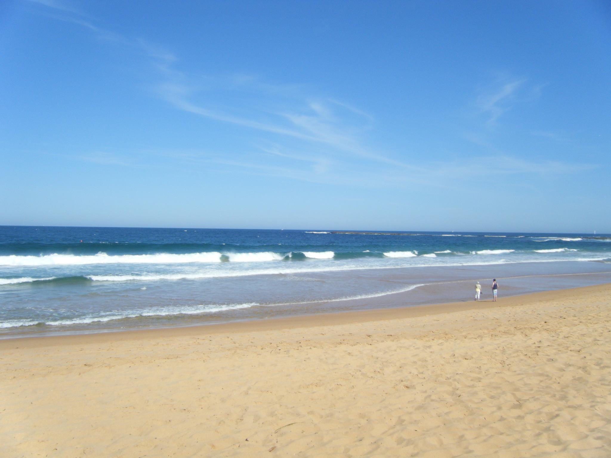 Plam beach Australia.jpg