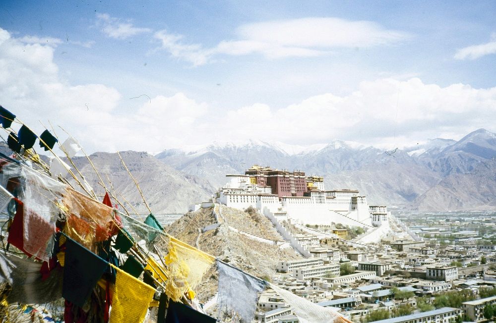 lhasa sm.jpg