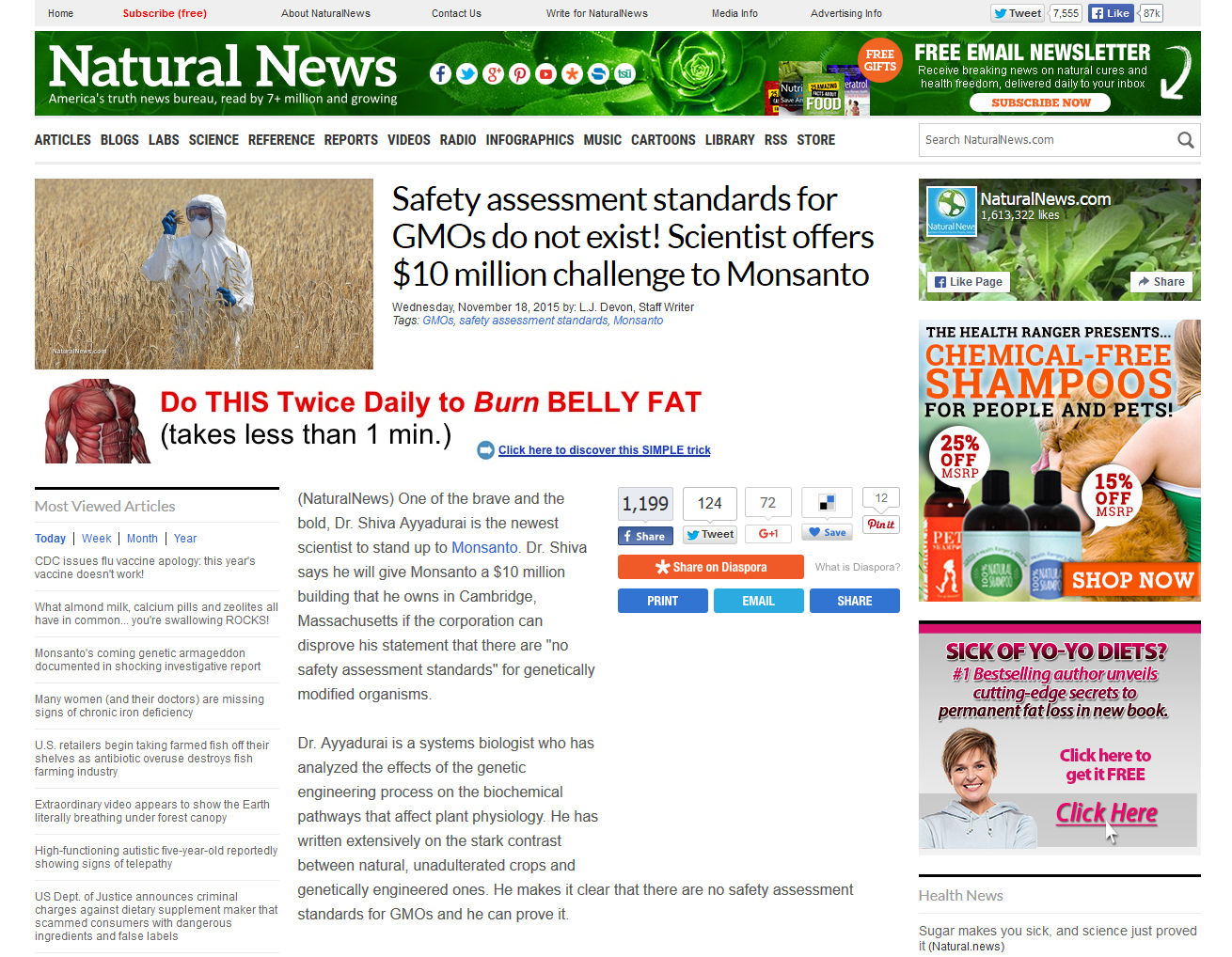 safety_assessment_standards_for_gmos_do_not_exist.jpg