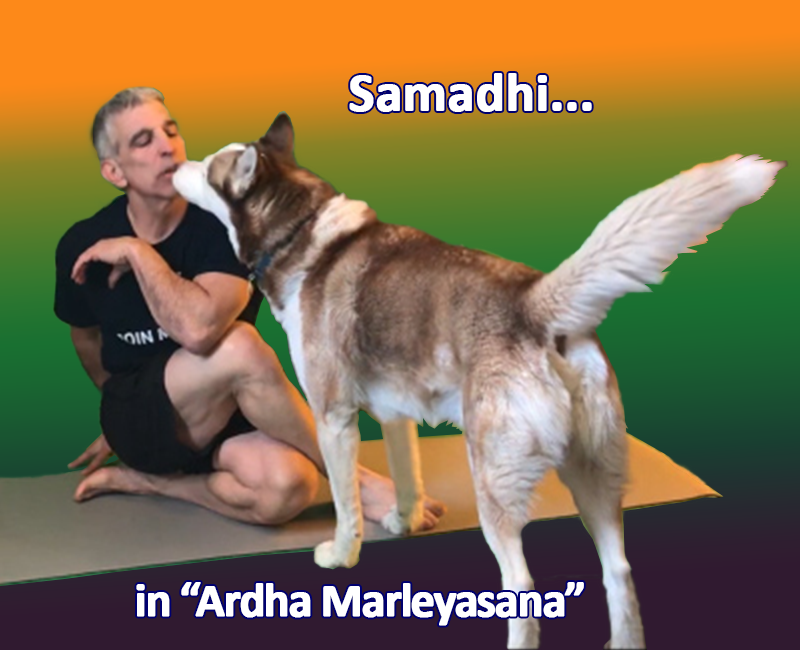 Twist 07 Ardha Marleyasana 00.png