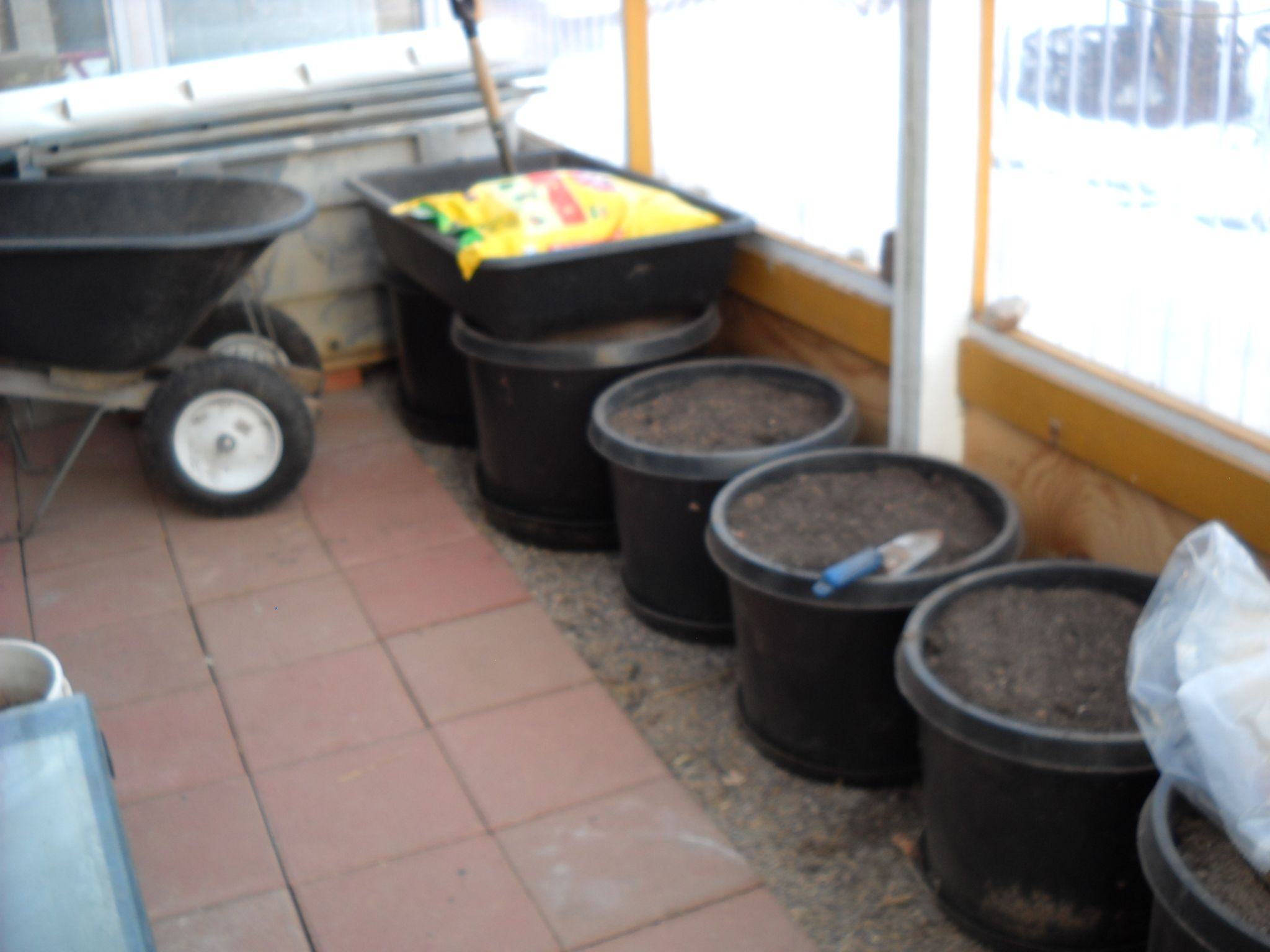 DSCN8665.JPG