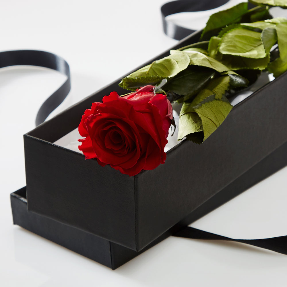 Single-red-rose-in-silk-lined-black-box.jpg