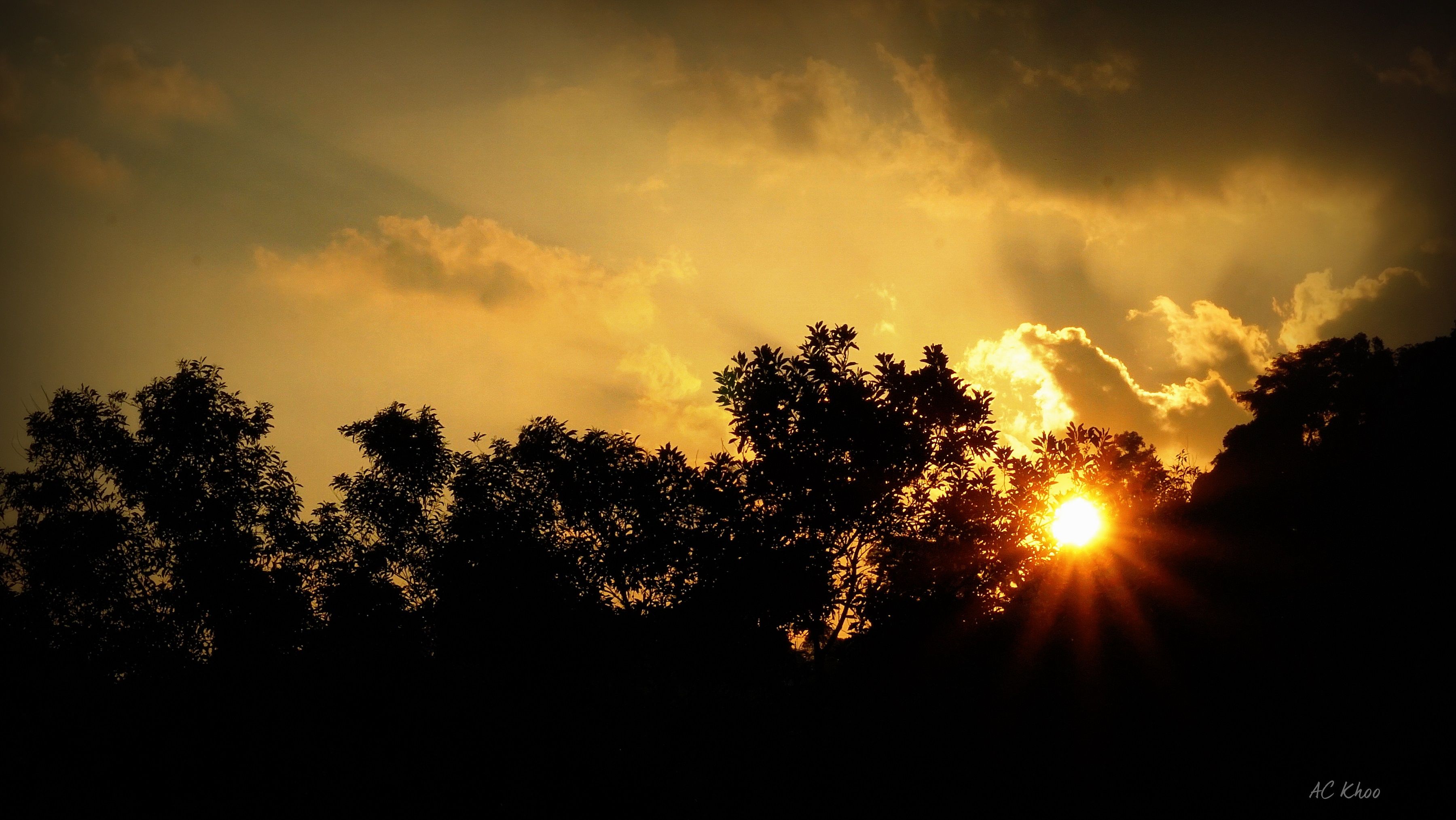 DSC08408b.jpg