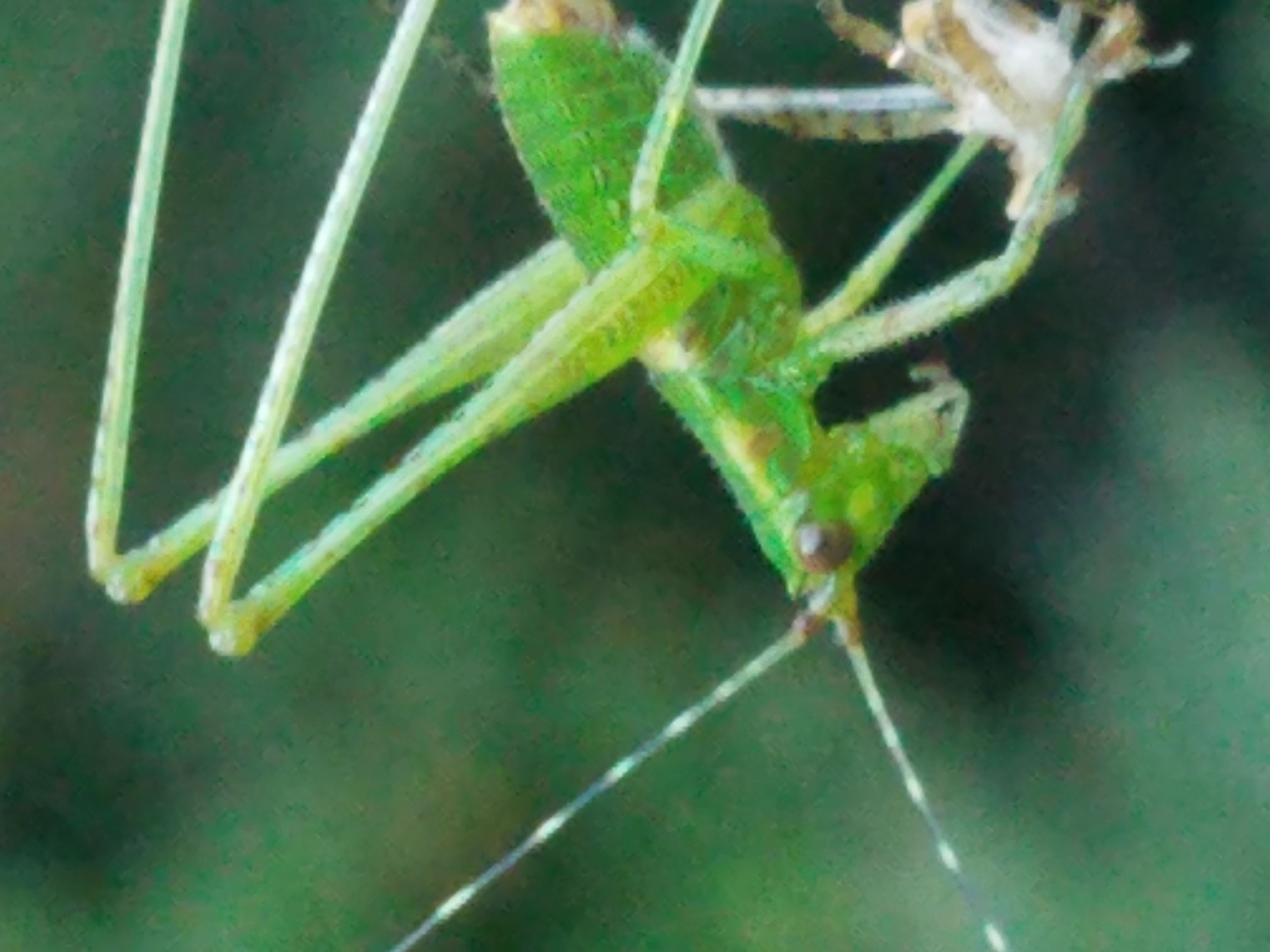 20170618_195811.jpg