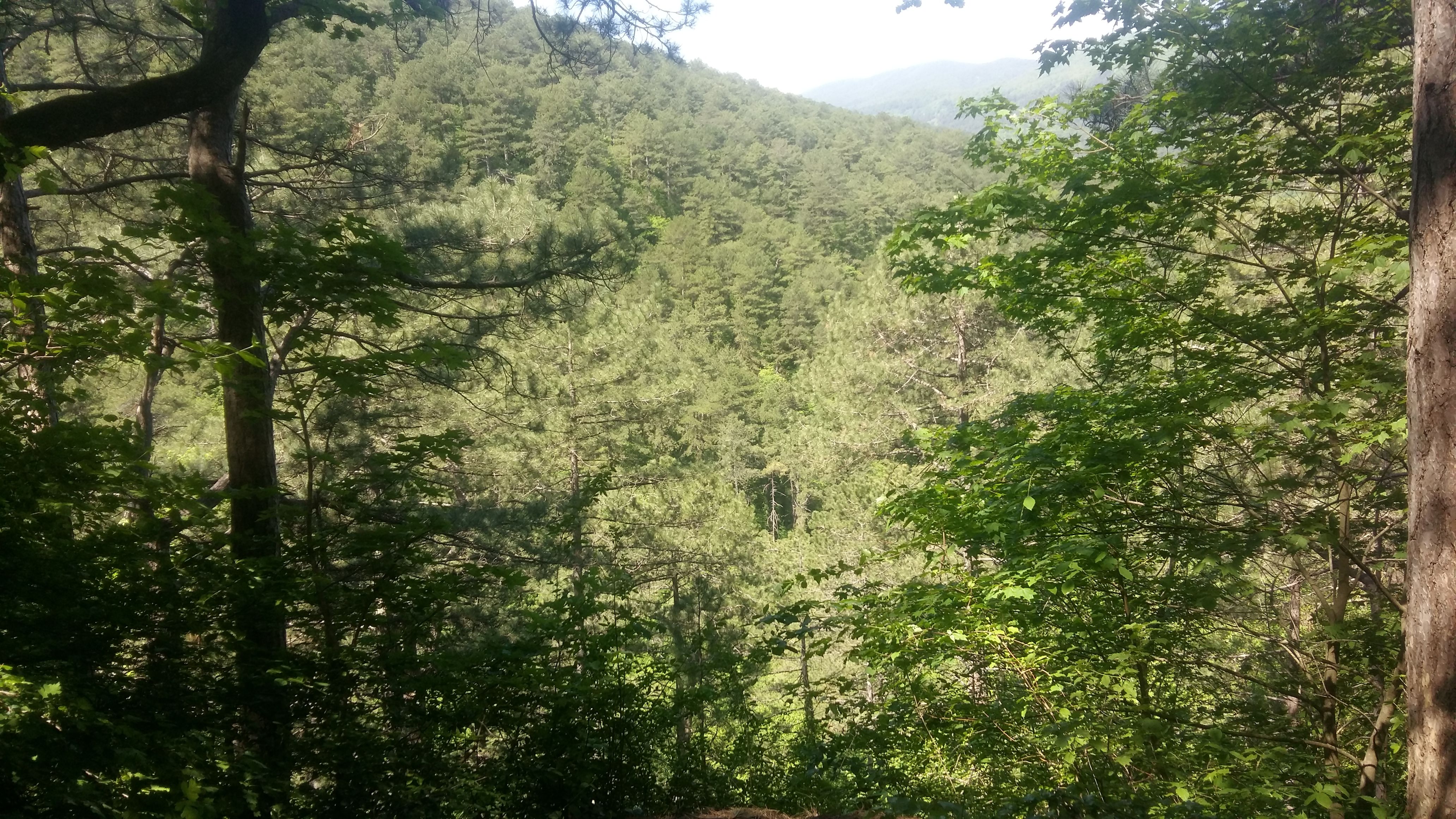 20180502_122023.jpg