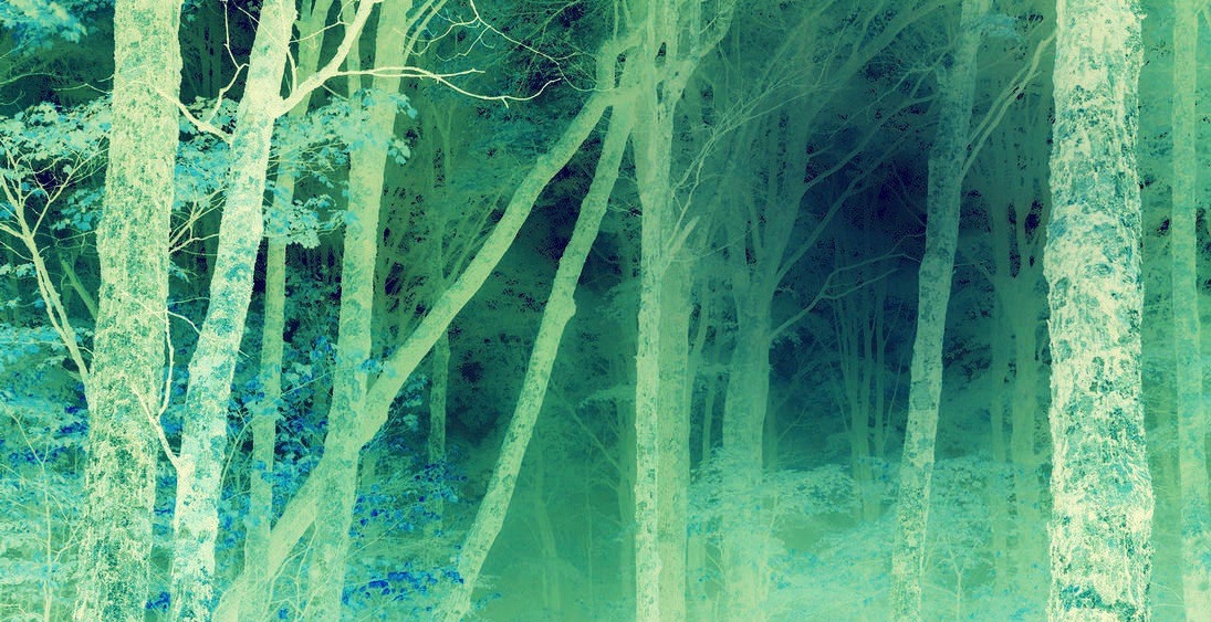greenneg.jpg