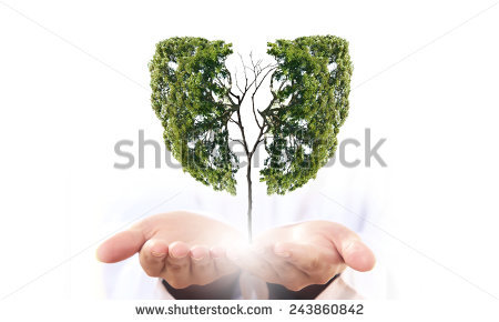 stock-photo-conceptual-image-of-green-tree-in-hands-shaped-like-human-lungs-243860842.jpg