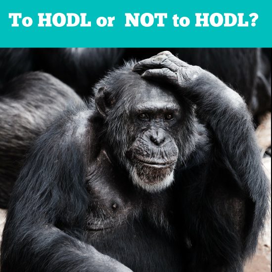 Hodl-8.jpg