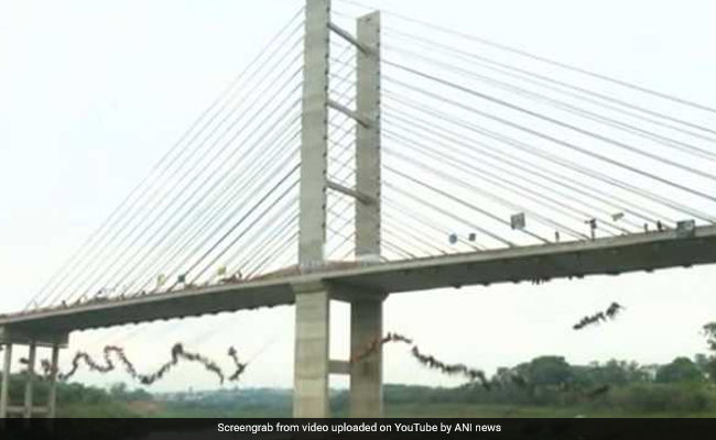 brazil-bridge-jump-650-ani_650x400_61508764159.jpg