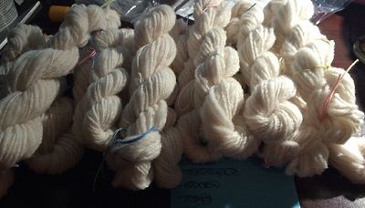 image_medium2 (3).jpg