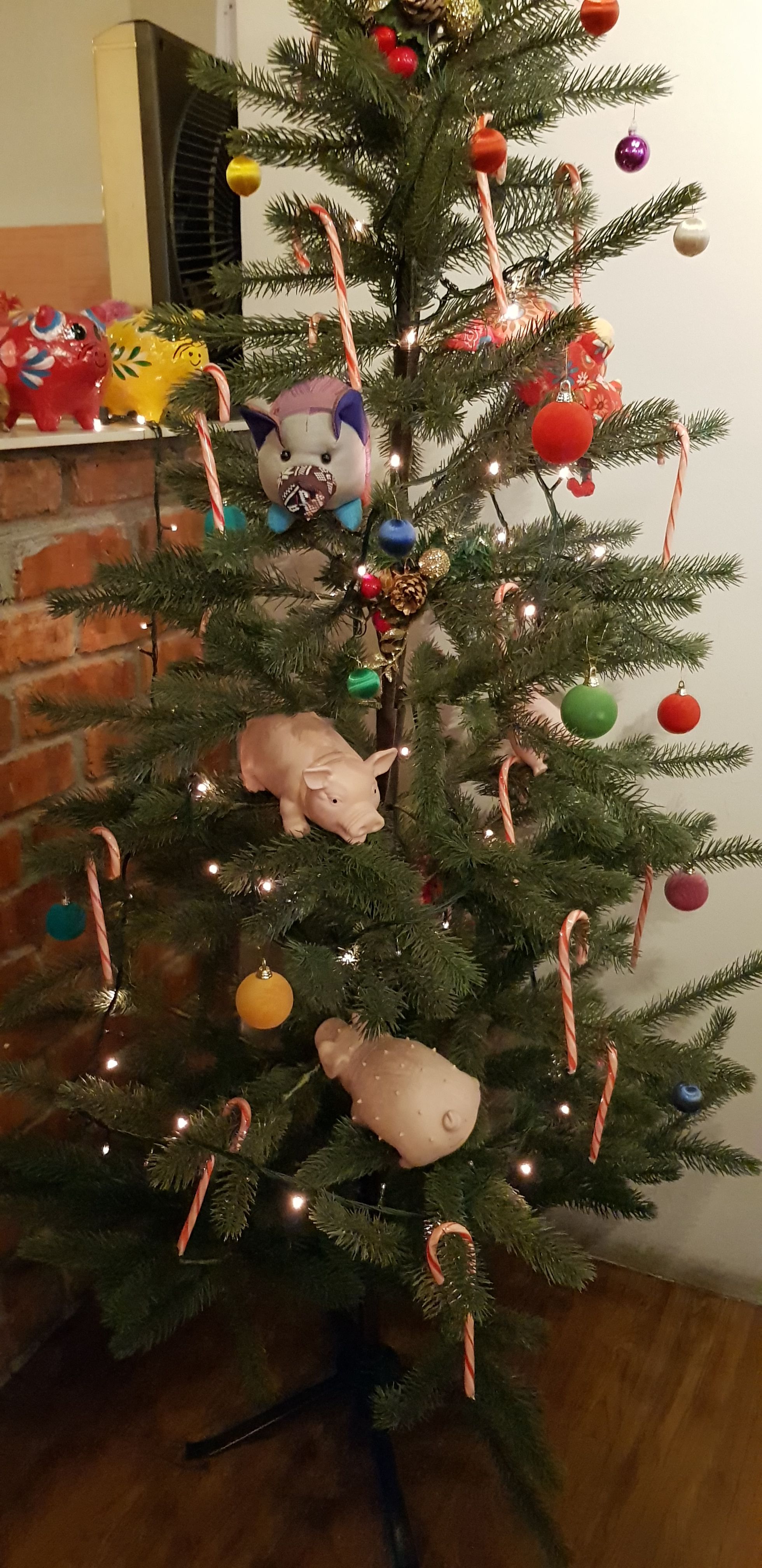 20171231_190058.jpg