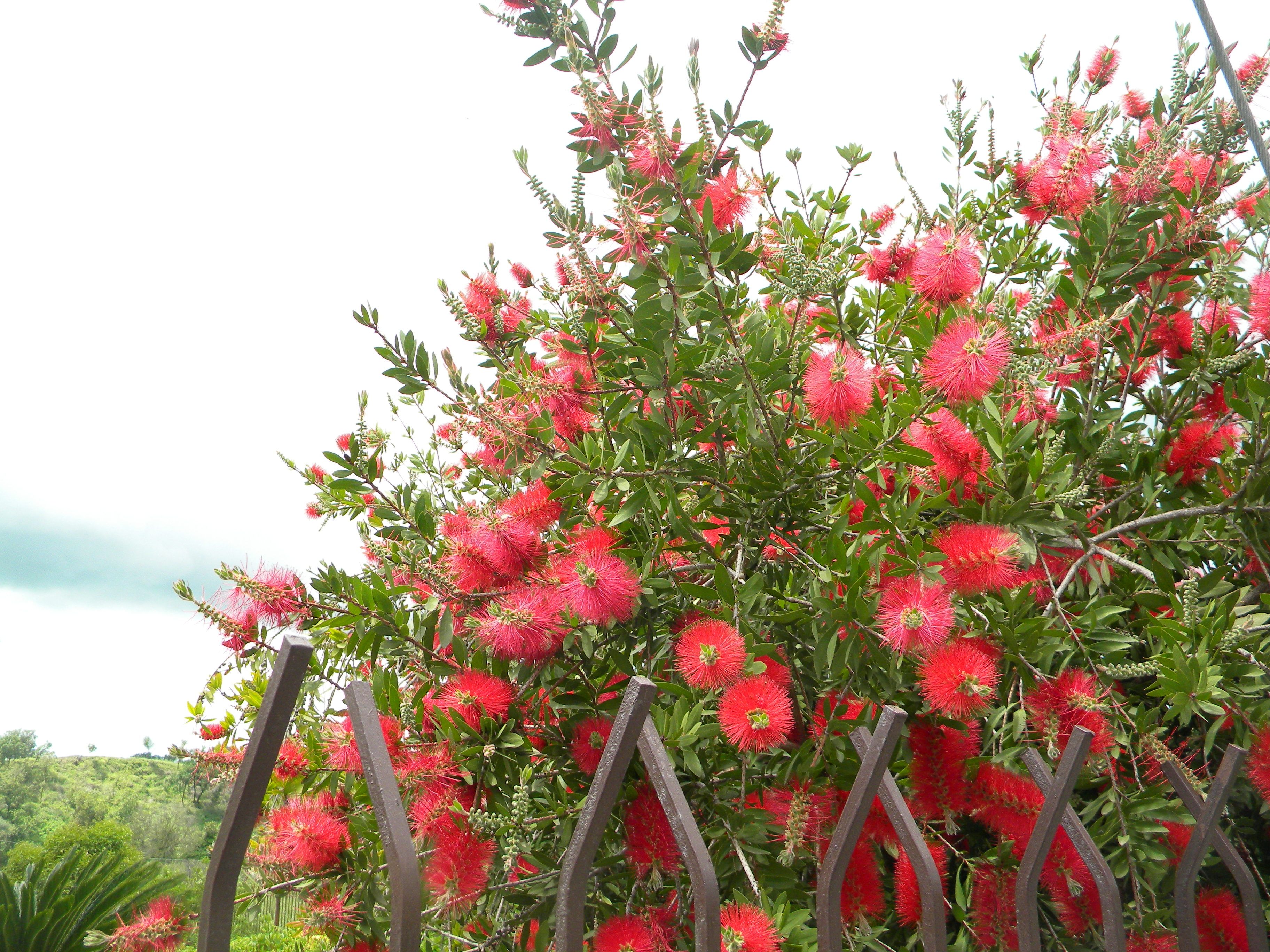 DSCN6862.JPG