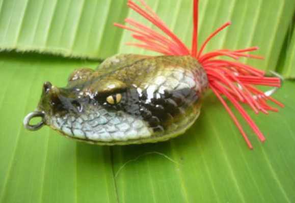 snake head top water.jpg